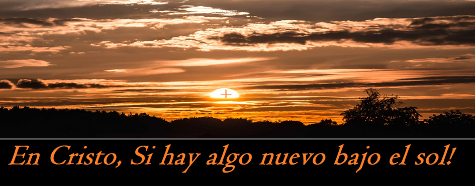 La vanidad de la vida, todo es vanidad