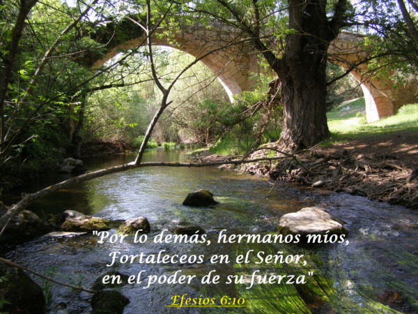 "Estad firmes en la batalla y resistir"