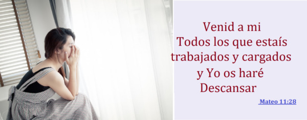 La mansedumbre trae descanso a la vida