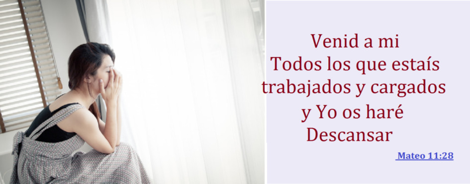 La mansedumbre trae descanso a la vida