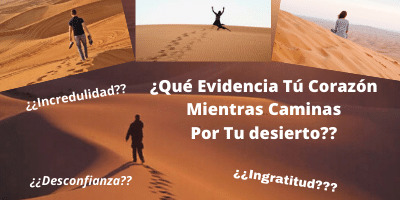 Mira a Cristo y vivirás