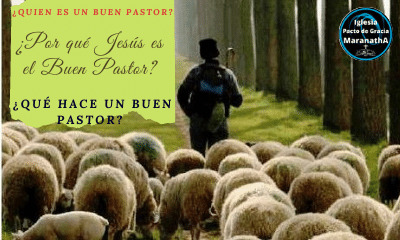 Jesús el buen pastor y el privilegio de ser sus ovejas