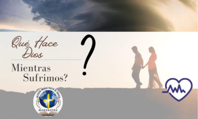 Sufrimiento humano y providencia divina